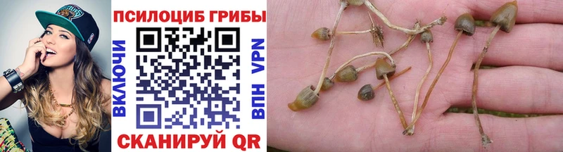 Галлюциногенные грибы мицелий  darknet формула  Находка 